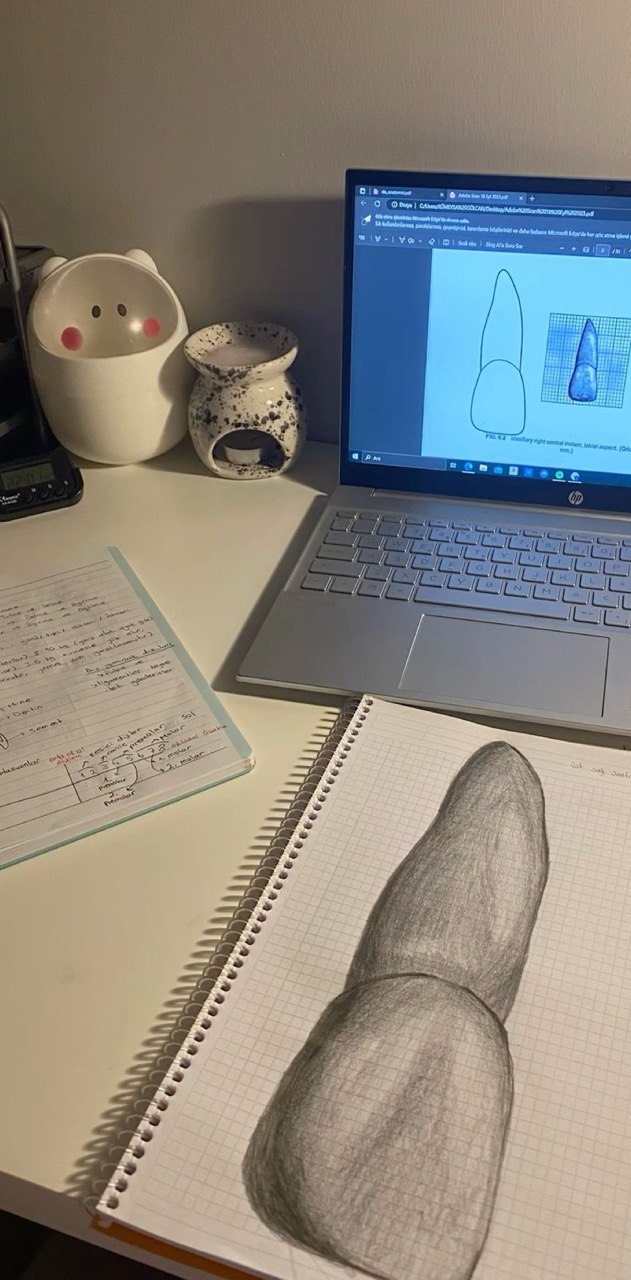 Dentify AI Study Tools
